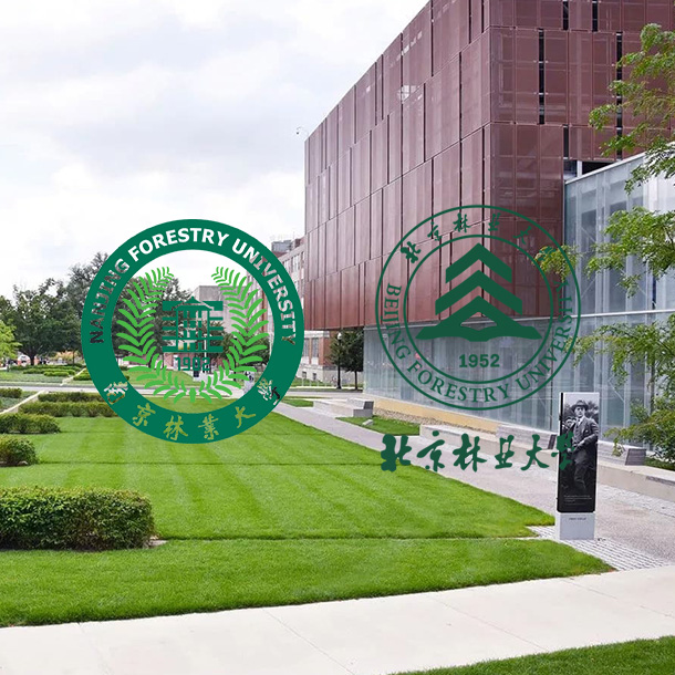 Anhui Guanming Dekorationsmaterialien Co., Ltd